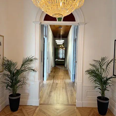 Nest Of The Dao Ninho Do Dao *