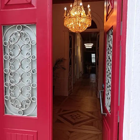 Nest Of The Dao Ninho Do Dao *