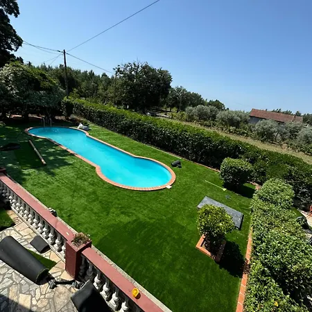 Nest Of The Dao Ninho Do Dao *