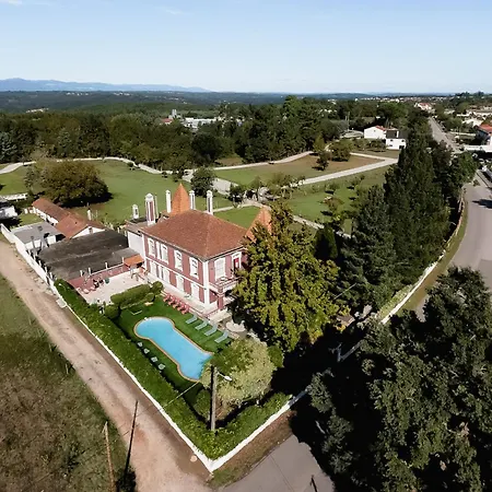 Nest Of The Dao Ninho Do Dao