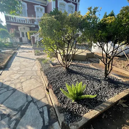 Nest Of The Dao Ninho Do Dao